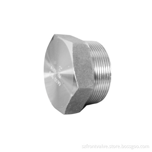 Forged Steel High Pressure Socket Weld/Threaded Hexagon Plug